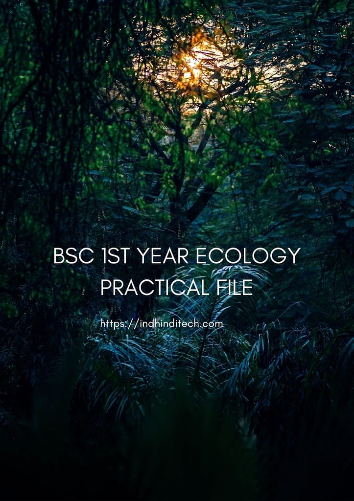 Bsc 1st Year Ecology Practical File