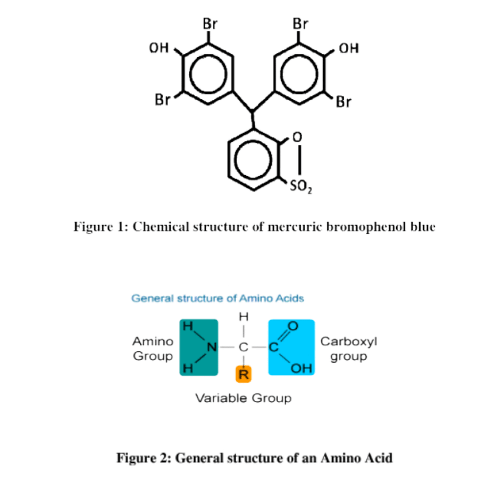 CYTOCHEMICAL DEMONSTRATION OF TOTAL PROTEINS BY MERCURIC BROMOPHENOL BLUE. Chemical Structure Of Mercuric Bromophenol Blue.