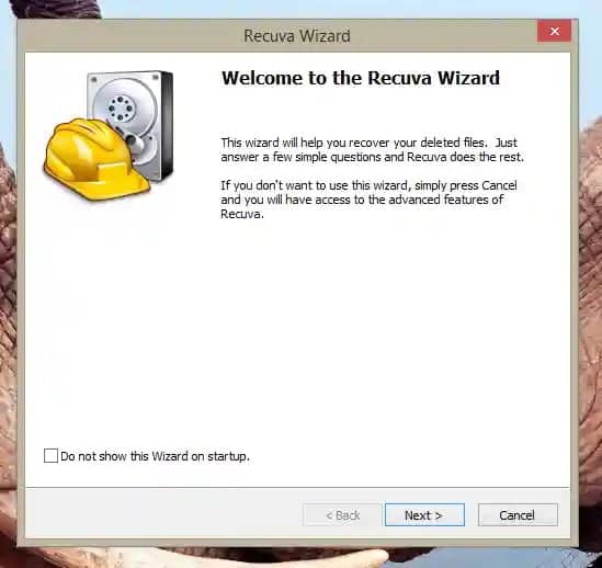 Recuva Wizard Home page